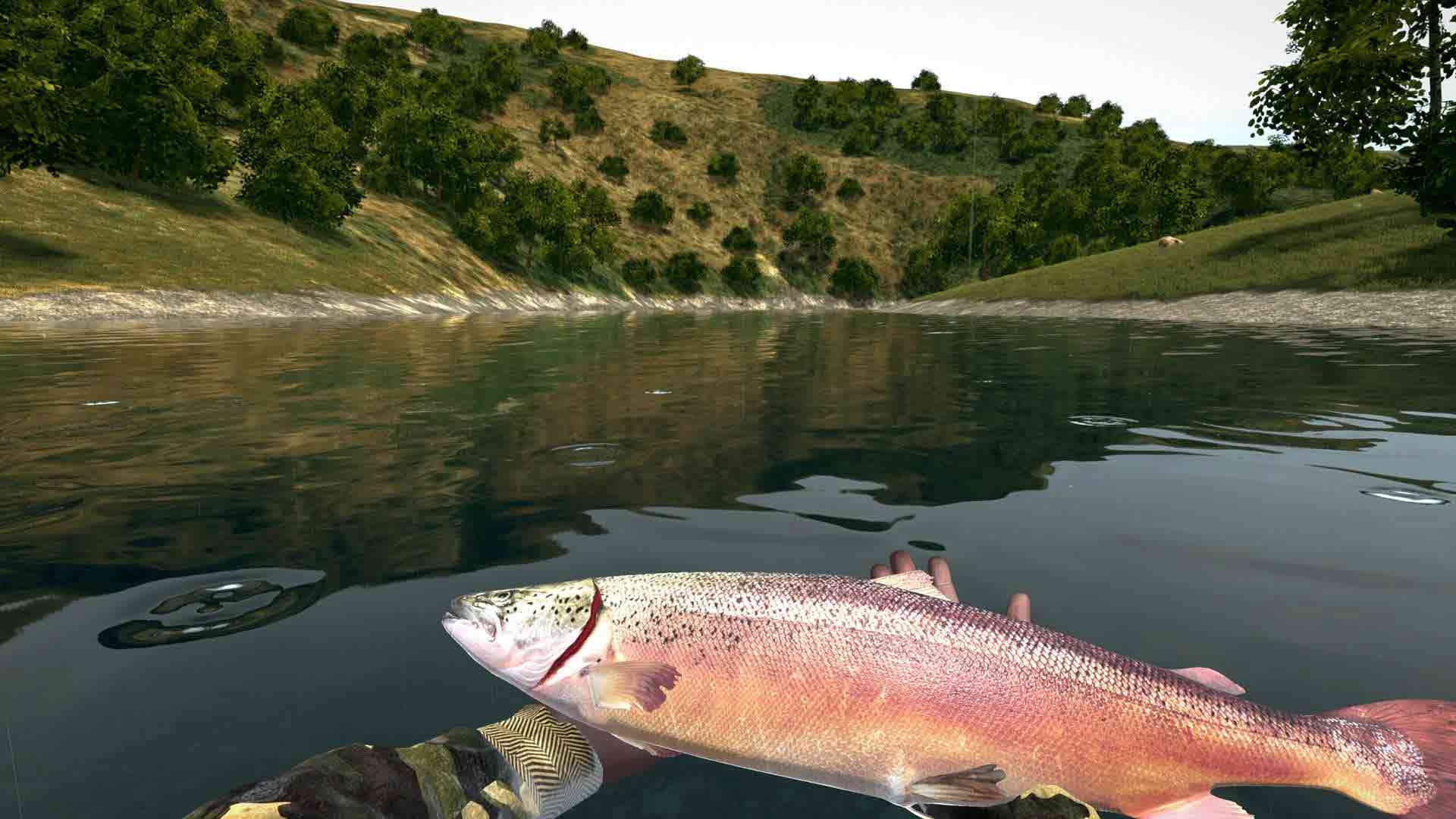 Ultimate Fishing Simulator Review Xbox Wallpaper Screenshot