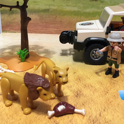 Playmobil Wildlife 2017 Sets