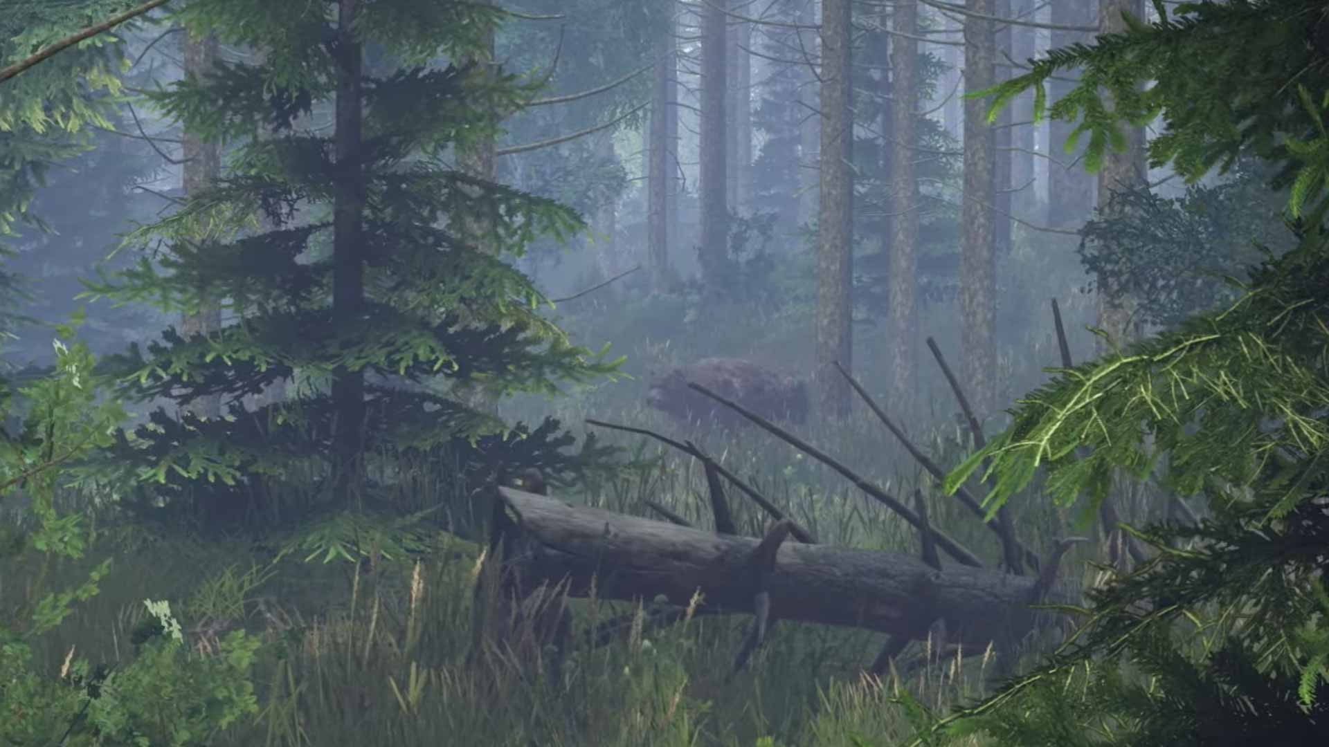 DayZ Bear Screenshot