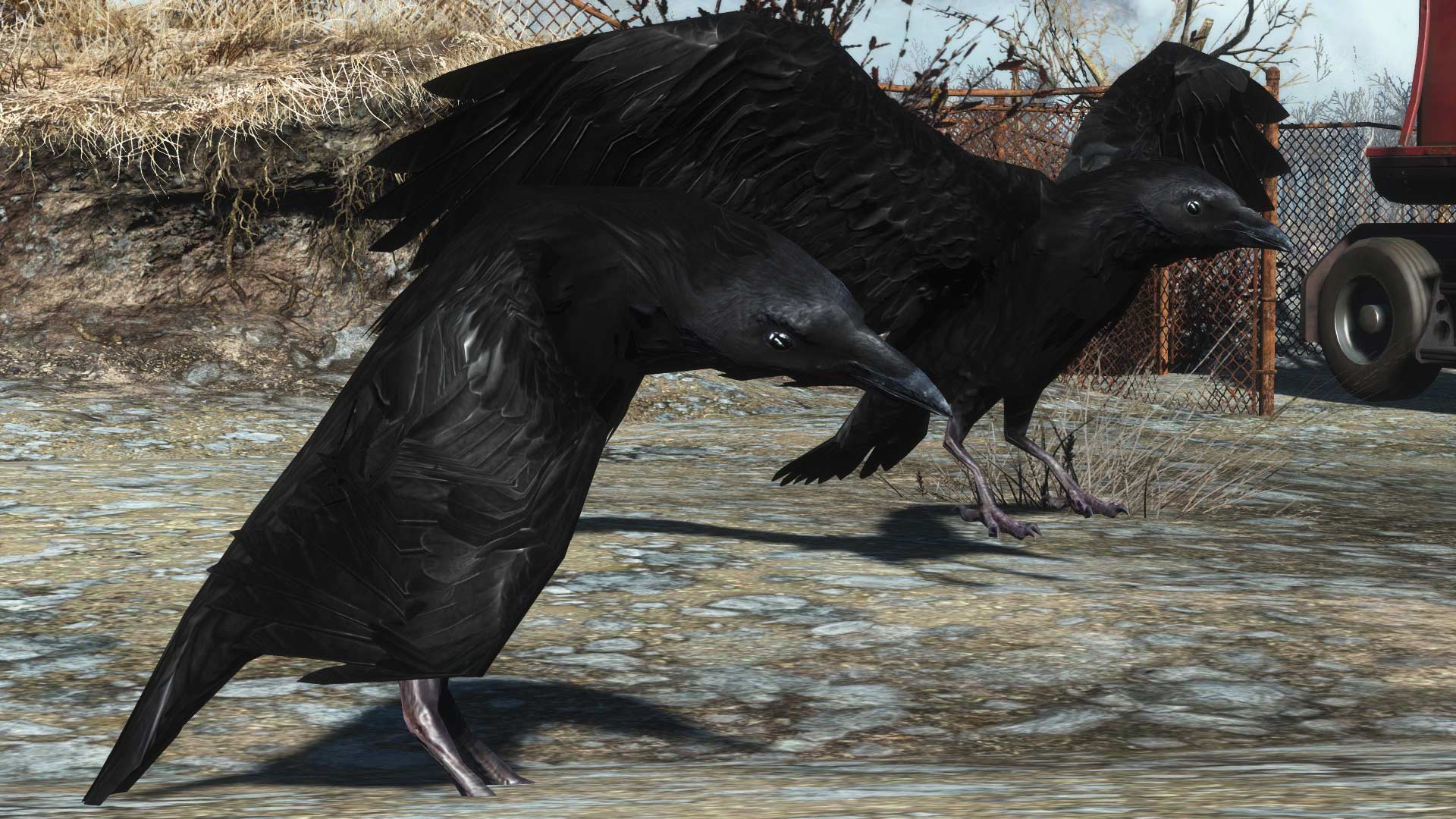 Fallout 4 Crows and Creatures Mod