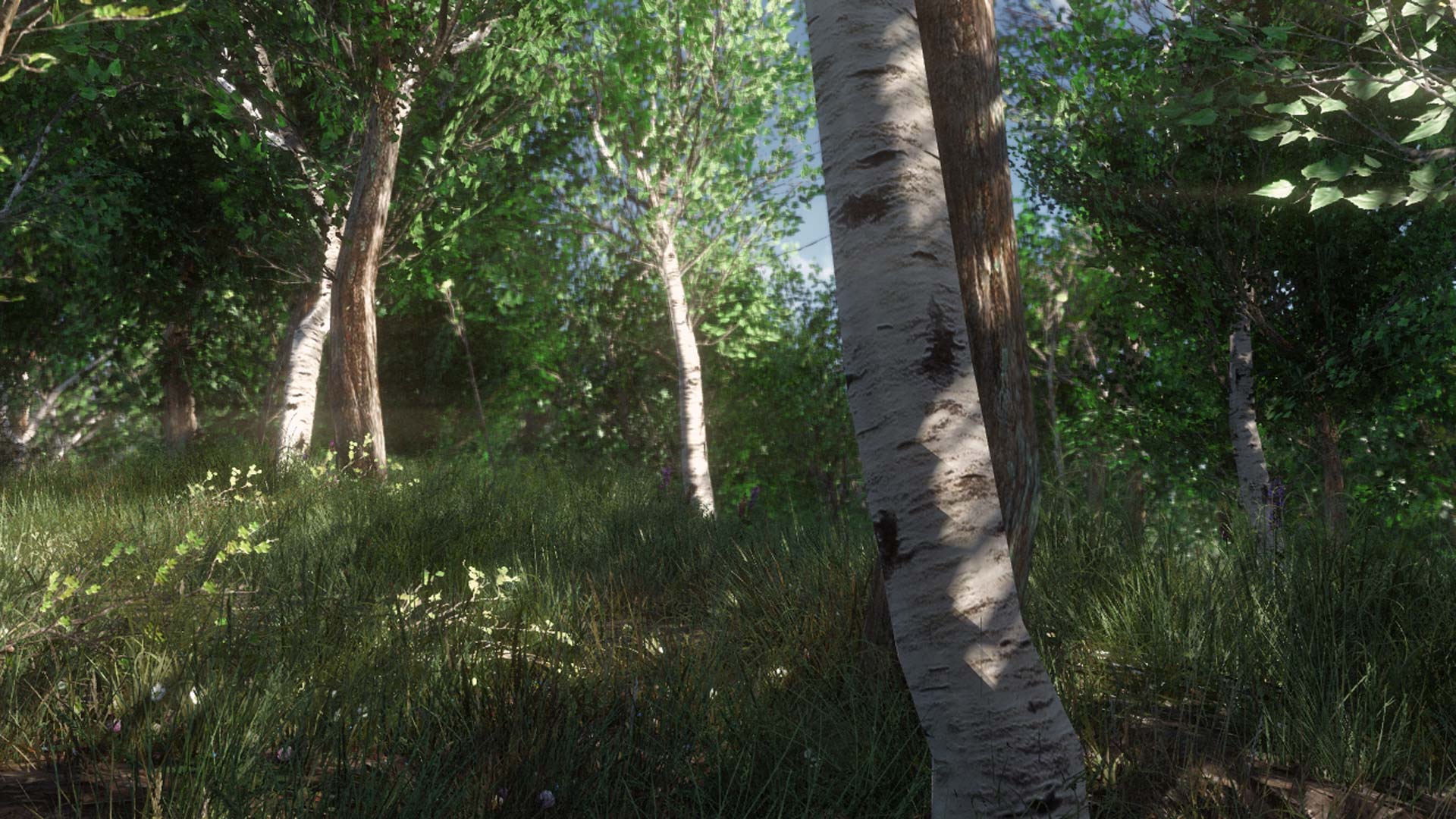 Fallout 4 деревья и трава фото 41