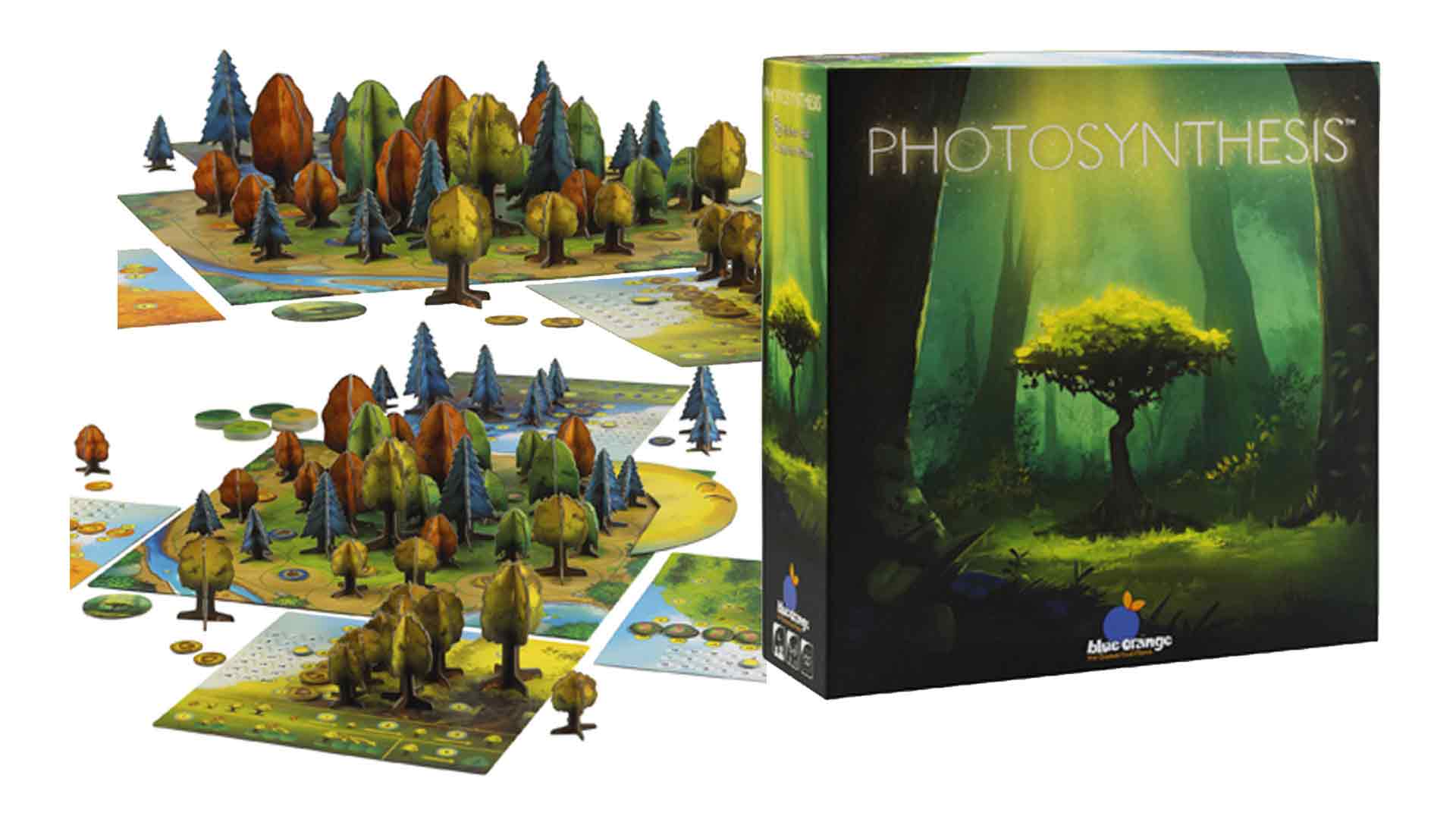 Photosynthesis Card Game