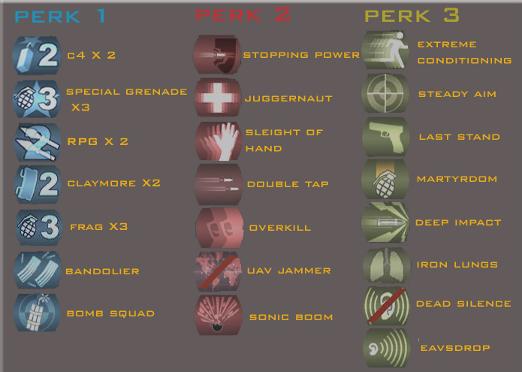 Call of Duty 4 Perks