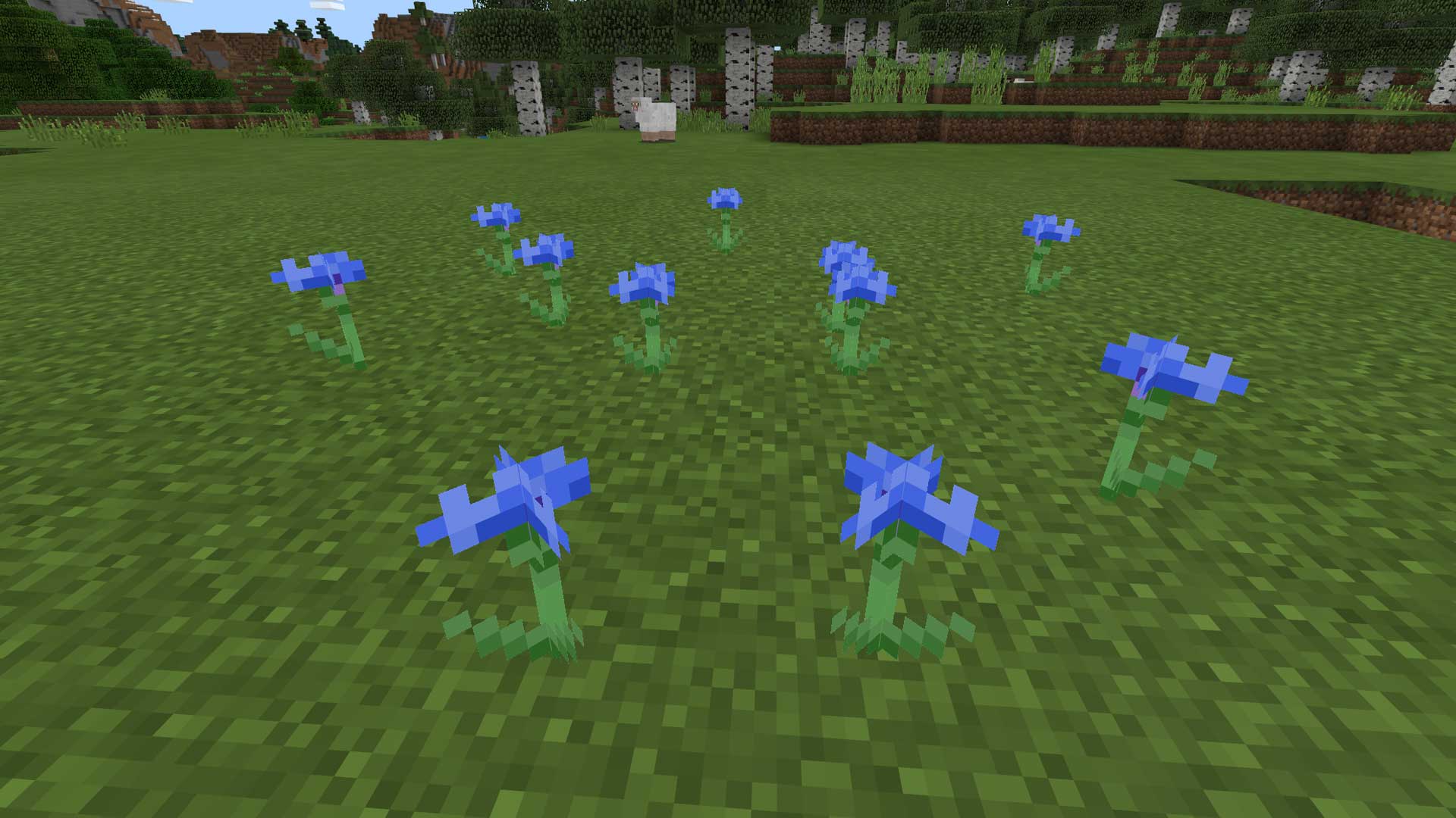 Minecraft Cornflower