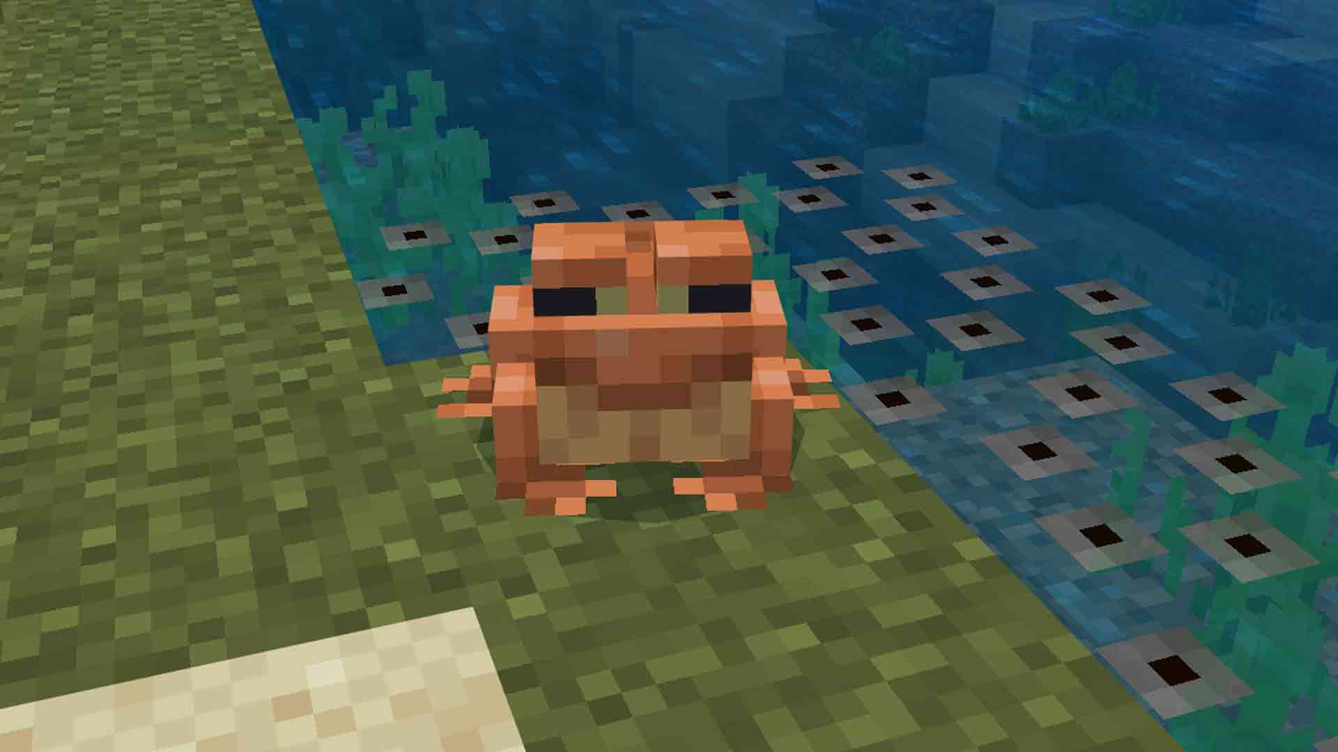 Minecraft How to Tame Frogs and Breed Them