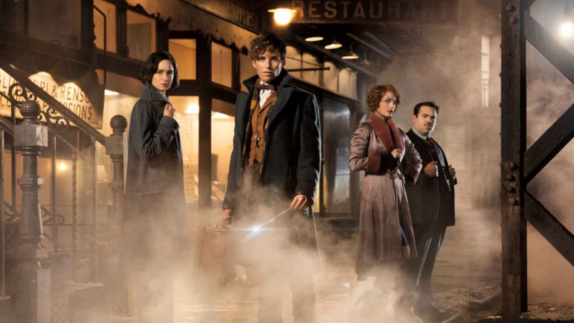 Fantastic Beasts and Where to Find Them Wallpaper