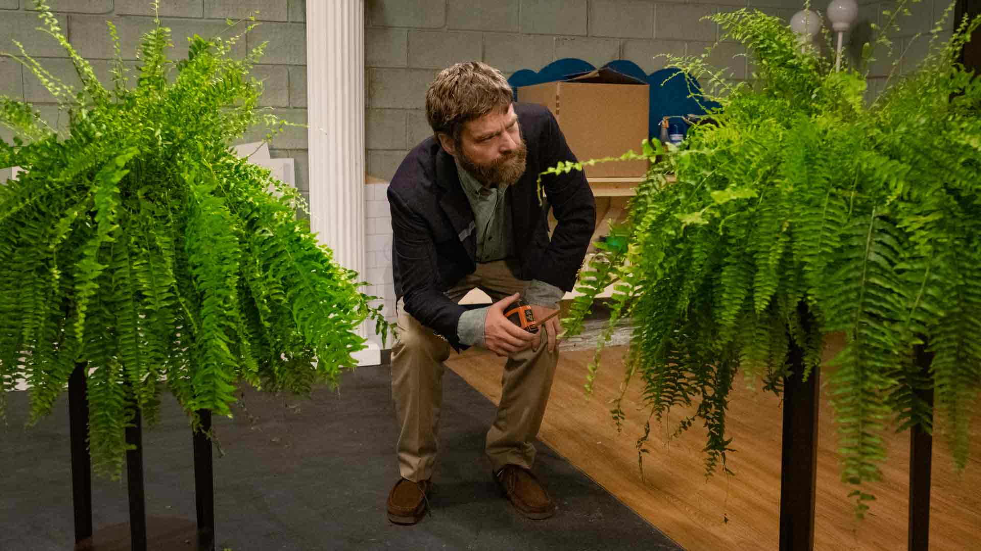 Between Two Ferns: The Movie Wallpaper